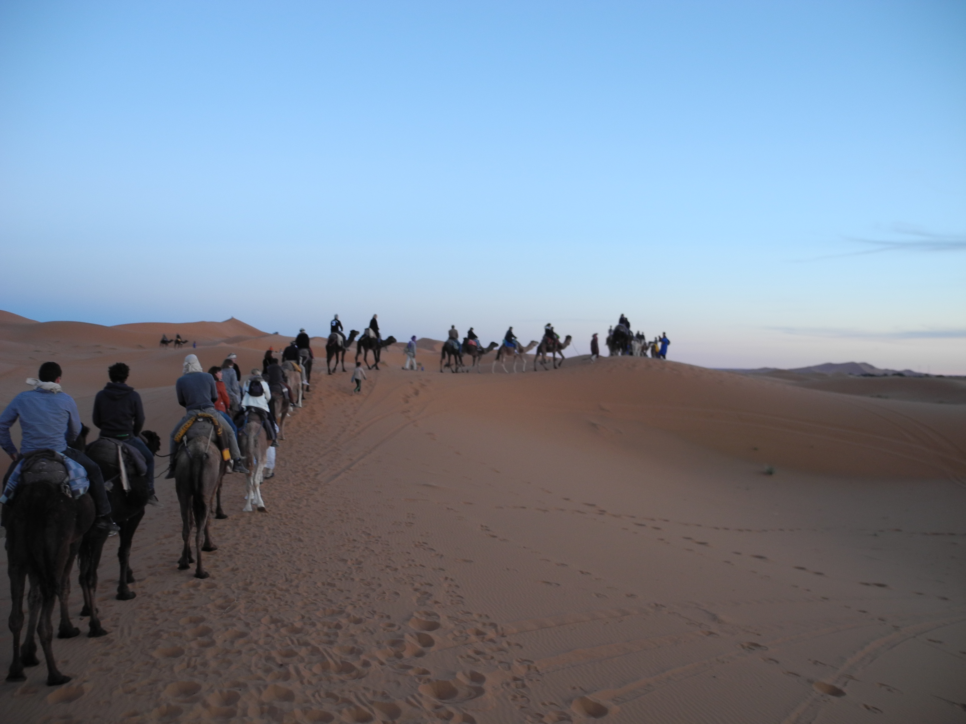 voyage de récompense ludico vrac maroc
