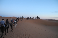 voyage de récompense ludico vrac maroc