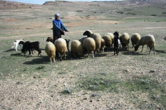 voyage de récompense ludico tunisie