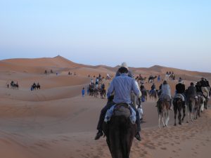 Maroc voyage de récompense ludico